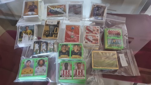 Panini fifa 365 missing - 365,